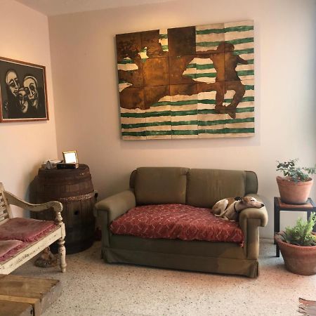 Oaxaca Posada Barbario Con 4 Habitaciones المظهر الخارجي الصورة
